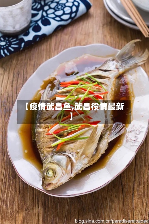 【疫情武昌鱼,武昌役情最新】