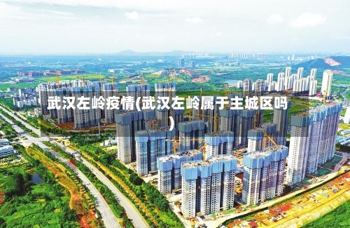 武汉左岭疫情(武汉左岭属于主城区吗)-第2张图片