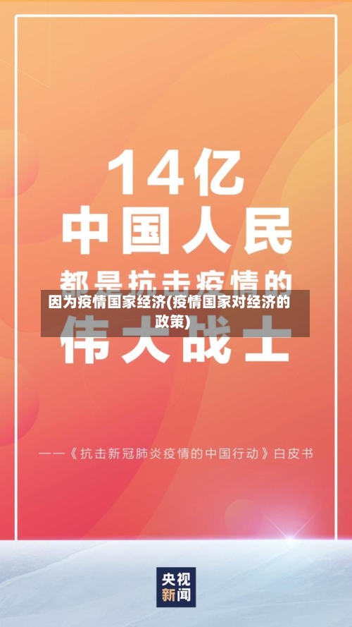 因为疫情国家经济(疫情国家对经济的政策)