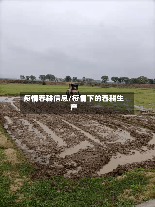 疫情春耕信息/疫情下的春耕生产-第3张图片