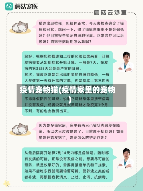 疫情宠物猫(疫情家里的宠物)