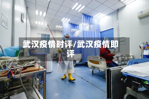 武汉疫情时评/武汉疫情即评-第3张图片
