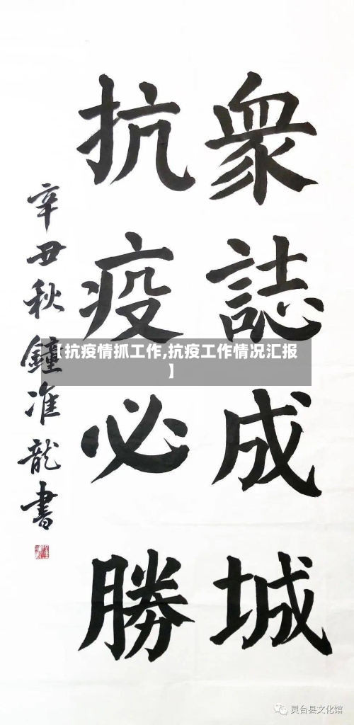 【抗疫情抓工作,抗疫工作情况汇报】-第3张图片
