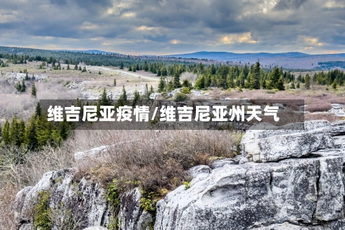 维吉尼亚疫情/维吉尼亚州天气-第2张图片