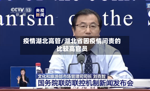 疫情湖北高管/湖北省因疫情问责的比较高官员-第2张图片