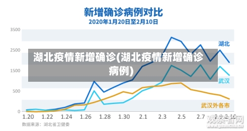 湖北疫情新增确诊(湖北疫情新增确诊病例)-第3张图片