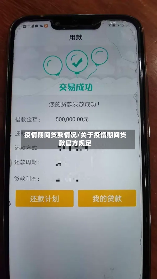 疫情期间贷款情况/关于疫情期间贷款官方规定-第3张图片