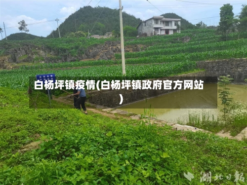 白杨坪镇疫情(白杨坪镇政府官方网站)