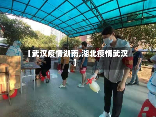 【武汉疫情湖南,湖北疫情武汉】-第2张图片