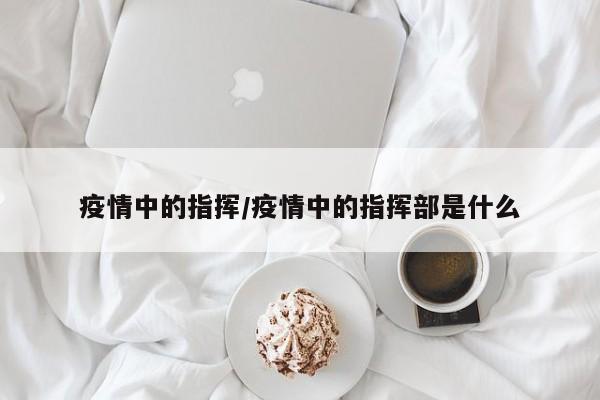 疫情中的指挥/疫情中的指挥部是什么