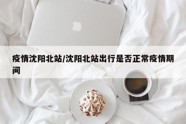 疫情沈阳北站/沈阳北站出行是否正常疫情期间